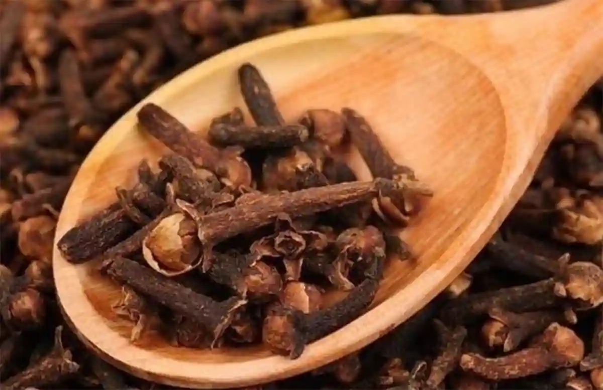 Imagen del Clavo de Olor