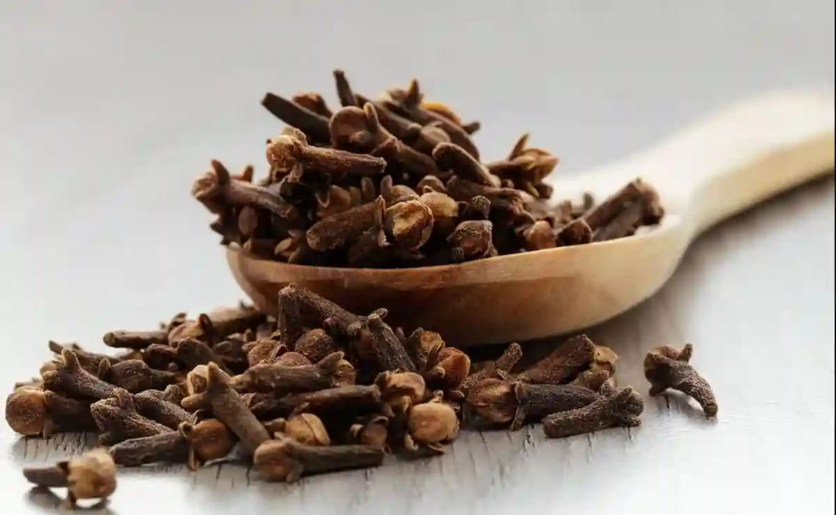 Imagen del Clavo de Olor