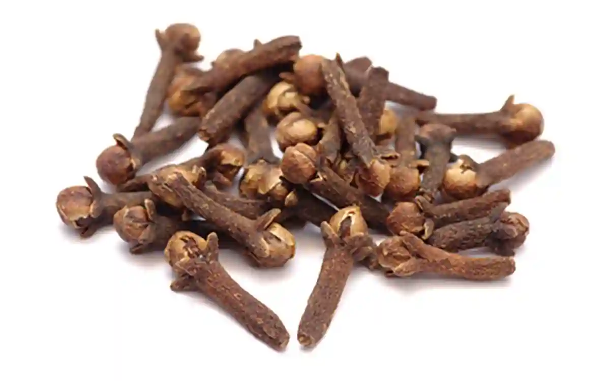 Imagen del Clavo de Olor